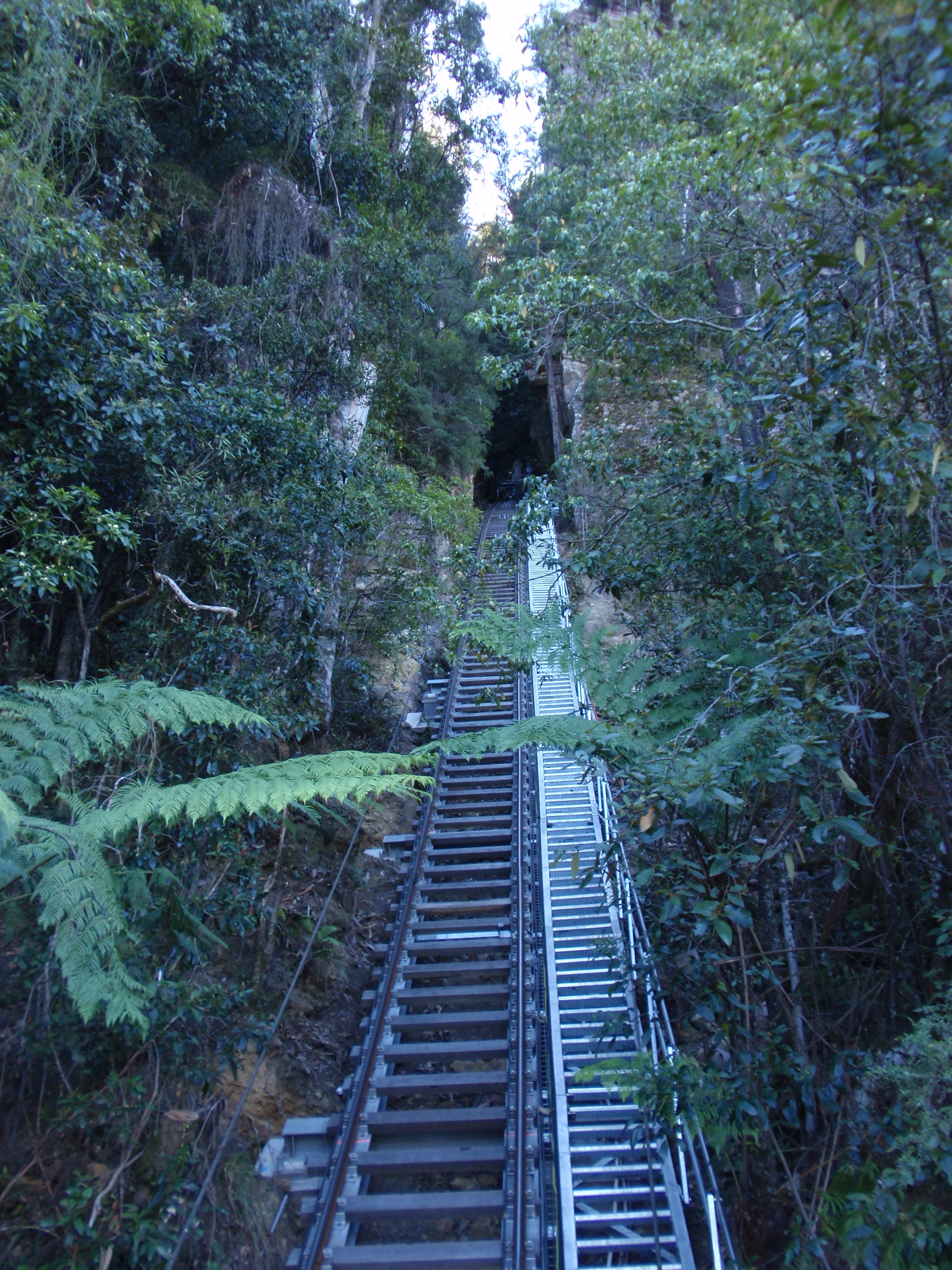 Scenic Railway uphill climb